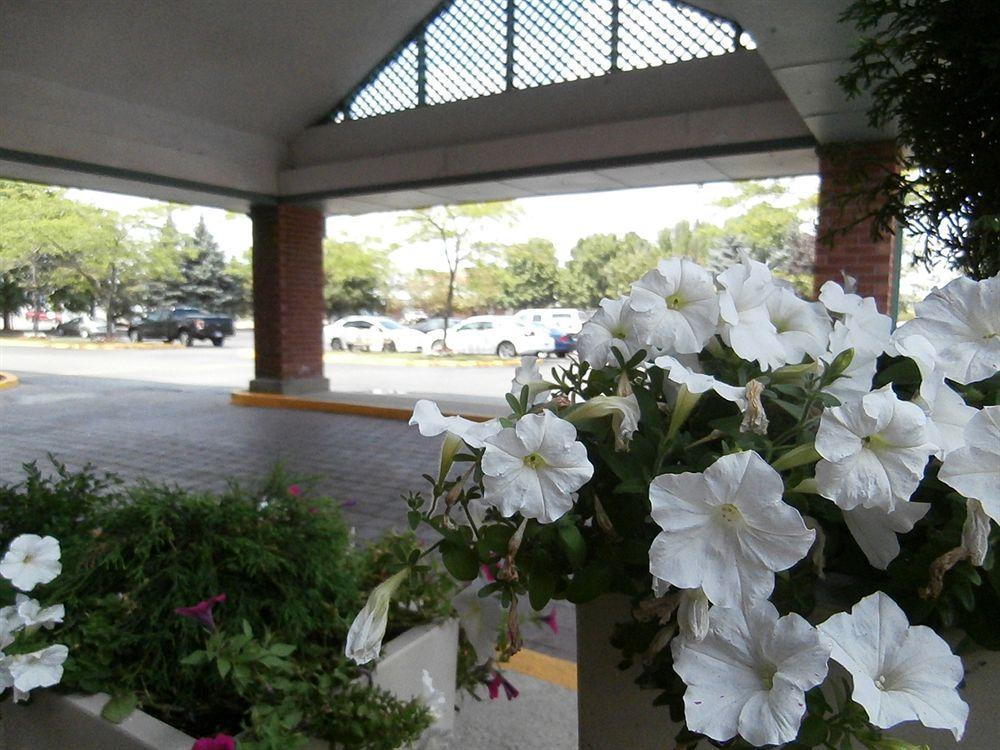 Holiday Inn Express Hamilton-Stoney Creek 외부 사진